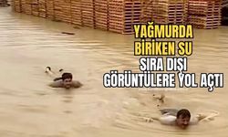 Yağmurun oluşturduğu gölde yüzdüler! Vatandaşlar şaşkınlıkla izledi