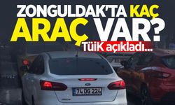 Zonguldak'ta kaç araç var? TÜİK açıkladı...