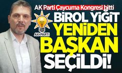 AK Parti Çaycuma Kongresi bitti: İşte başkan ve yönetimi!