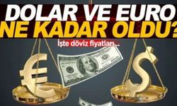 Dolar/TL bugün ne kadar? (29 Ekim 2024 dolar - Euro fiyatları)