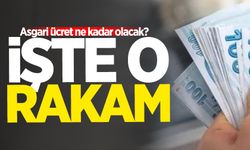 Asgari ücret ne kadar olacak? İşte o rakam