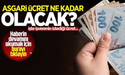 Asgari ücret ne kadar olacak? İşverenin istediği asgari ücreti açıkladı...