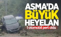 Asma'da büyük heyelan: Otomobil kullanılamaz hale geldi!