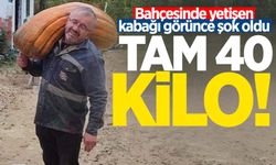 Bahçesinde yetişen kabağı görünce şok oldu: Tam 40 kilo!