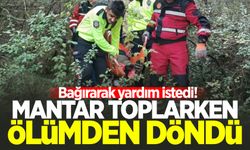 Bartın'da kadın ölümden döndü: Mantar toplarken ayağını kırdı!