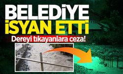 Belediye isyan etti: Dereyi tıkayanlara ceza!