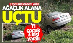 Çaycuma'da feci kaza: Ağaçlık alana uçtu! Yaralılar var...