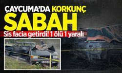 Çaycuma'da korkunç sabah: Sis facia getirdi! Araçta yanarak can verdi