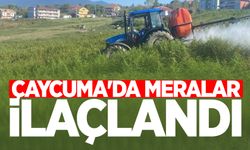 Çaycuma'da meralar ilaçlandı