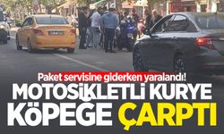 Çaycuma'da motosikletli kurye köpeğe çarptı