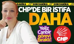 CHP'de bir şok daha: Yeliz Canbir istifa etti!