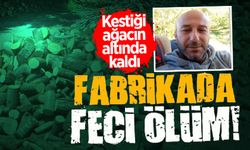 Fabrikada feci ölüm:  Kestiği ağacın altında kaldı!