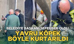 Şu kanalına sıkıştı: Belediye başkanı bile seferber oldu!