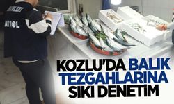 Kozlu'da balık tezgahlarına denetim