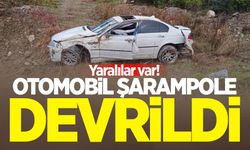 Otomobil şarampole devrildi: 2 yaralı