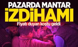 Pazarda mantar izdihamı: Fiyatı duyan koştu geldi!