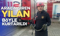 Park halinde minibüse giren yılan, itfaiyenin müdahalesiyle çıkarıldı