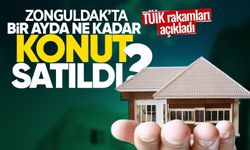 TÜİK açıkladı: Zonguldak'ta bir ayda kaç konut satıldı?