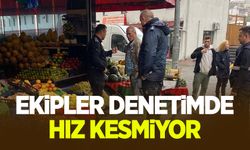 Zabıta ekipleri denetimlerine devam  ediyor