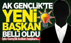 Zonguldak AK Parti İl Gençlik Kolları Başkanı belli oldu