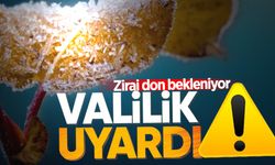 Zonguldak Valiliği uyardı: Zirai don bekleniyor!