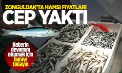 Zonguldak'ta hamsi fiyatları cep yaktı