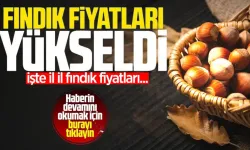 13 KASIM FINDIK FİYATLARI | Zonguldak serbest piyasa fındık fiyatları