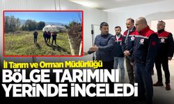 İl Tarım ve Orman Müdürlü Ağan, Devrek'te proje ziyareti gerçekleştirdi