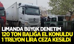 Ereğli Limanı'nda 120 ton balığa el konuldu