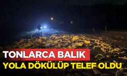 Kara yolu balık haline döndü