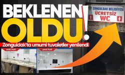 Beklenen oldu: Zonguldak'ta umumi tuvaletler yenilendi!