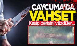 Çaycuma'da vahşet: Kesip derisini yüzdüler!