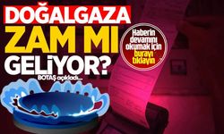 Doğal gaza zam gelecek mi? BOTAŞ açıkladı