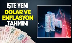 Merkez Bankası beklenti anketinin sonuçlarını açıkladı! İşte yıl sonu dolar ve enflasyon tahmini