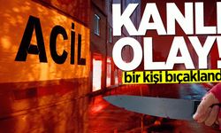 Eğlence mekanı önünde bıçaklı kavga : 1 yaralı