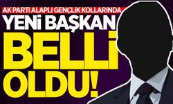 AK Parti'de gençlik kolları başkanı belli oldu!