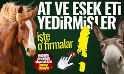 GIDADA HİLE YAPAN FİRMALAR | At ve eşek eti yedirmişler!