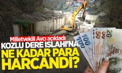 Kozlu Dere Islahı çalışmalarına ne kadar para harcandı? Milletvekili Avcı açıkladı