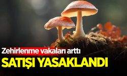 Zonguldak’ta şoke eden karar: Mantar satışı yasaklandı!