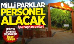 Milli Parklar personel alımı yapacak: İşte başvuru şartları!