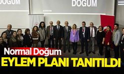 Zonguldak'ta normal doğum eylem planı tanıtıldı