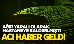 Karşıdan karşıya geçerken araba çarpmıştı! Acı haber geldi