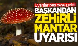 Uyarılar peş peşe geldi: Başkandan zehirli mantar uyarısı!