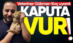 Veteriner Gökmen Koç uyardı: "Kaputa vur"