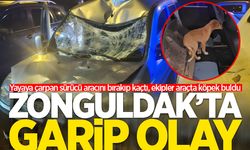 Yayaya çarpan sürücü aracını bırakıp kaçtı, ekipler araçta köpek buldu