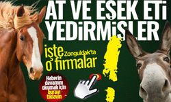 Zonguldak'ta at ve eşek eti skandalı! Bakanlık isimleri tek tek duyurdu...