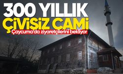 300 yıllık çivisiz cami ve koruma altındaki ağaç, ziyaretçilerini bekliyor