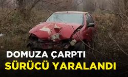 Otomobil domuza çarptı: Sürücü yaralandı