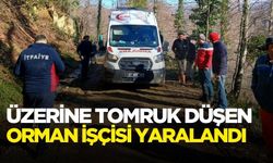 Üzerine tomruk devrilen işçi yaralandı