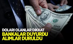 Bankalardan 'dolar' kararı! Bu tarihten önceki dolar alımları durdu